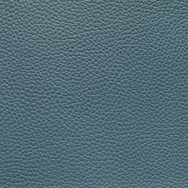 Leather material sample