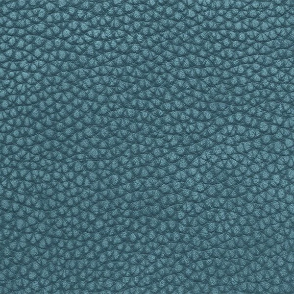 Sauvage J736
